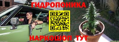 кокс Гусев