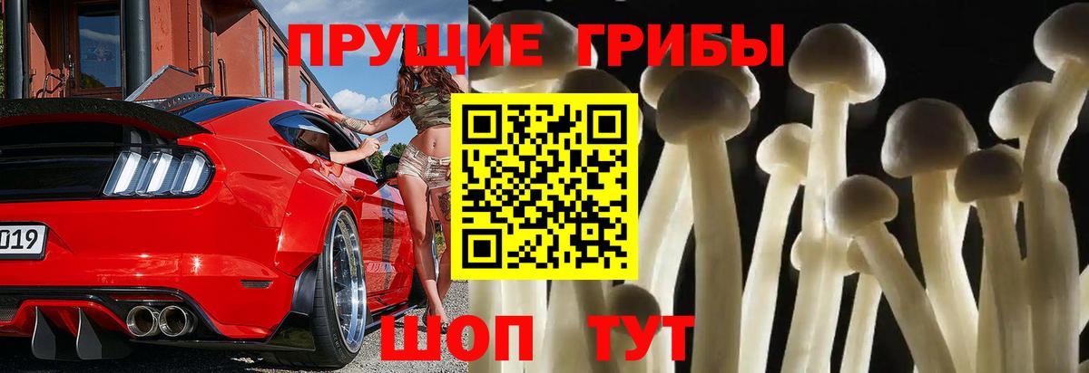 Псилоцибиновые грибы ЛСД  Вход с VPN  Когалым  Псилоцибиновые грибы GOLDEN TEACHER 